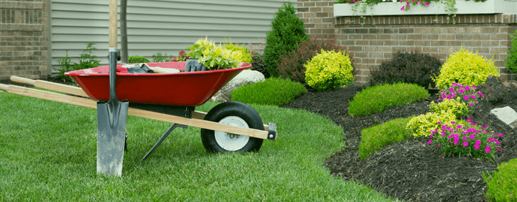 Everyone appreciates a well-manicured yard - but don't plant too close to your A/C unit!